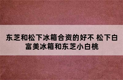 东芝和松下冰箱合资的好不 松下白富美冰箱和东芝小白桃